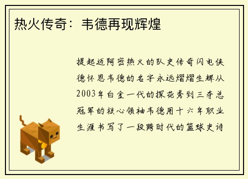 热火传奇：韦德再现辉煌